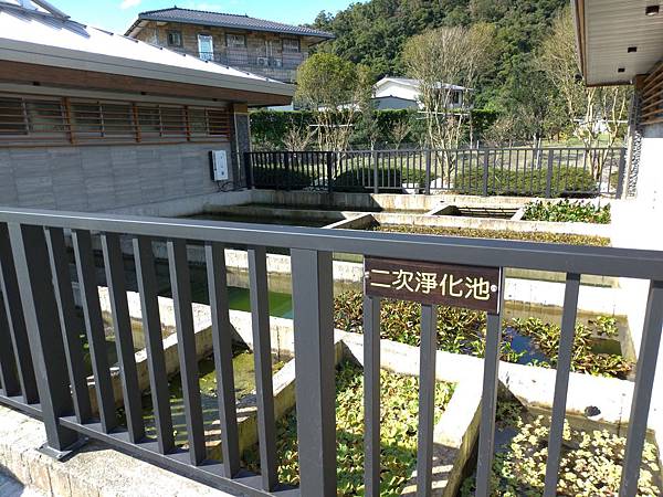 宜蘭礁溪景點【甲鳥園】下雨天也可以在室內餵鴨鴨喔！五星級清水