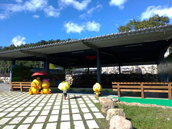 宜蘭礁溪景點【甲鳥園】下雨天也可以在室內餵鴨鴨喔！五星級清水