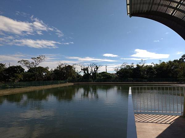 宜蘭礁溪景點【甲鳥園】下雨天也可以在室內餵鴨鴨喔！五星級清水