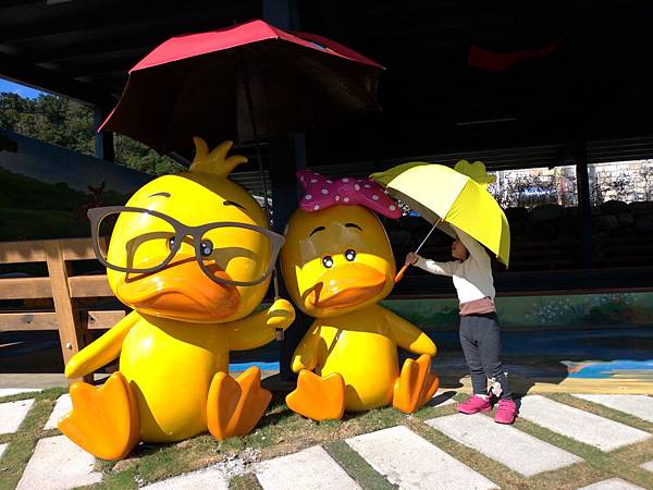 宜蘭礁溪景點【甲鳥園】下雨天也可以在室內餵鴨鴨喔！五星級清水