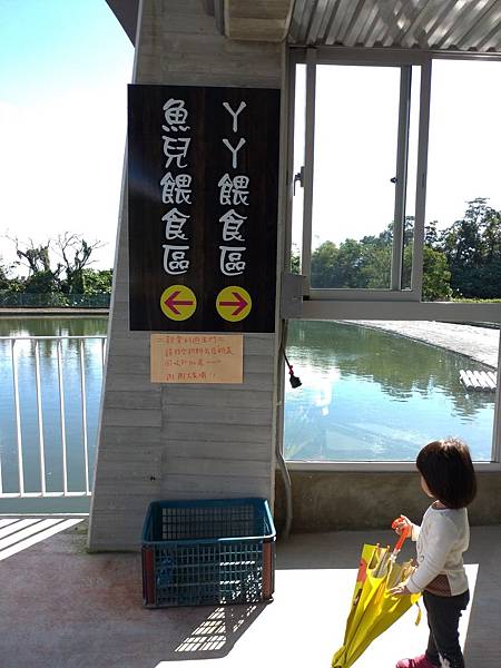 宜蘭礁溪景點【甲鳥園】下雨天也可以在室內餵鴨鴨喔！五星級清水