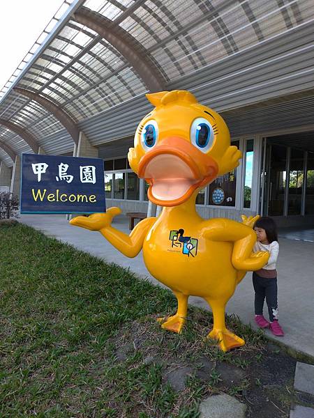 宜蘭礁溪景點【甲鳥園】下雨天也可以在室內餵鴨鴨喔！五星級清水