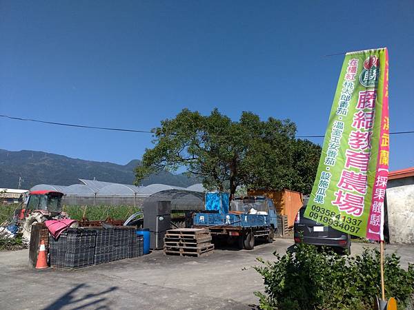 宜蘭室內景點∣溫室番茄園【藤結教育農場】桃太郎番茄，玉女番茄