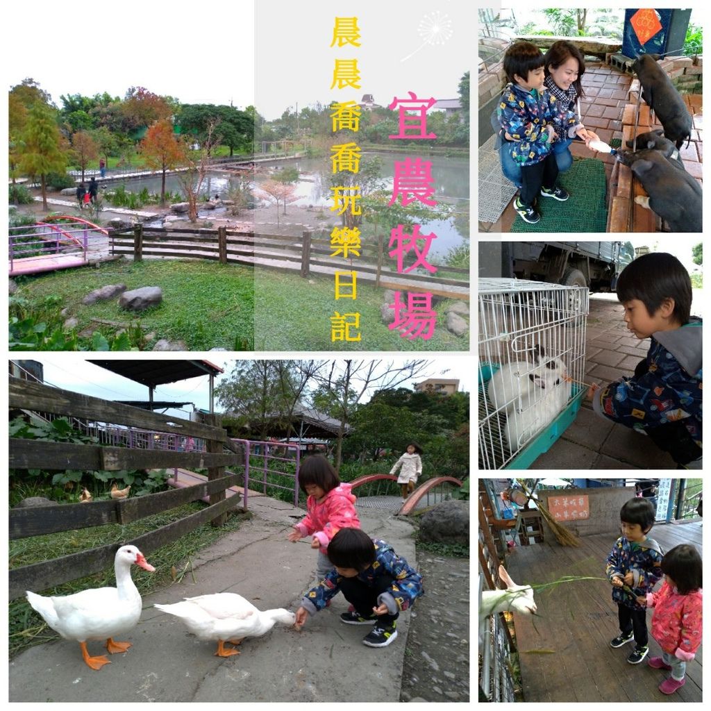 宜兰农牧场