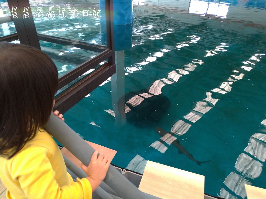 金车生技水产养殖中心
