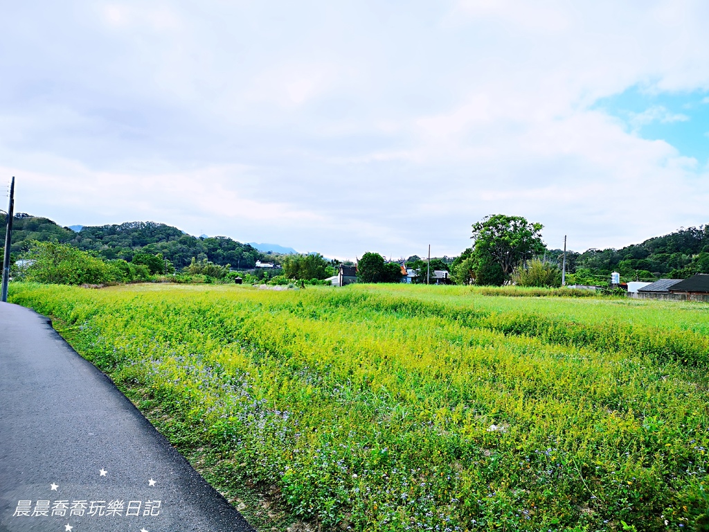 中部露營區推薦/苗栗三灣鄉町露營區