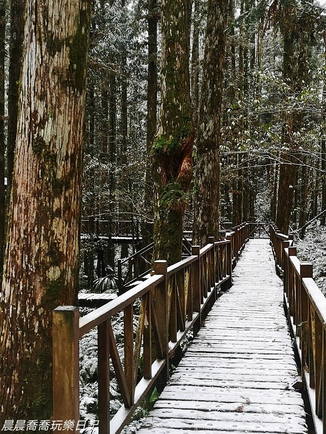 賞雪景點/明池/太平山