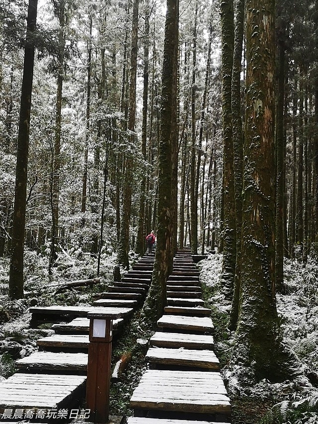 賞雪景點/明池/太平山