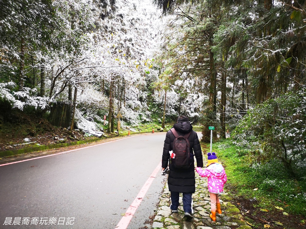 賞雪景點/明池/太平山