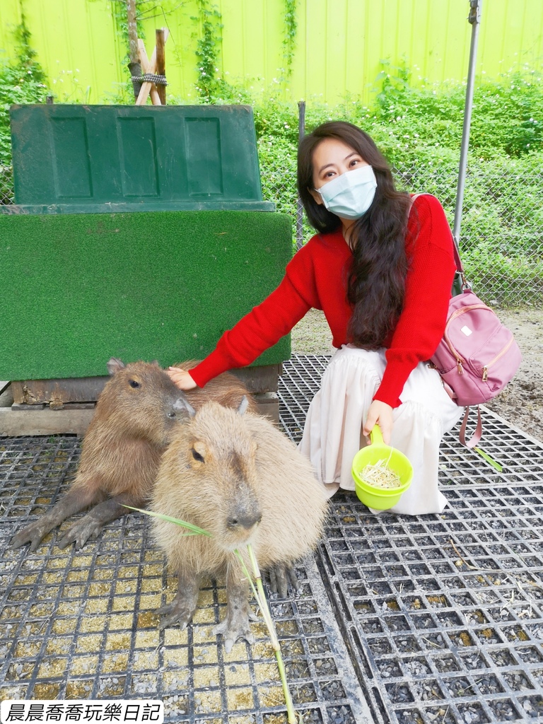 宜蘭景點心花鹿放宜蘭農場推薦宜蘭親子景點