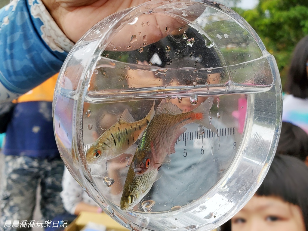 卡稻農釣魚遊程宜蘭一日遊行程推薦宜蘭親子景點