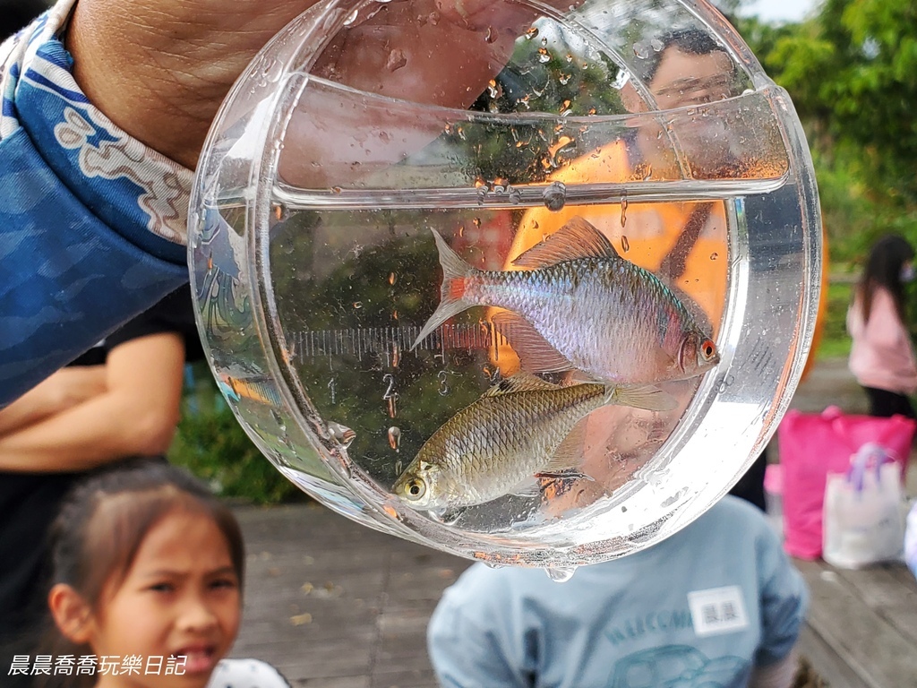 卡稻農釣魚遊程宜蘭一日遊行程推薦宜蘭親子景點