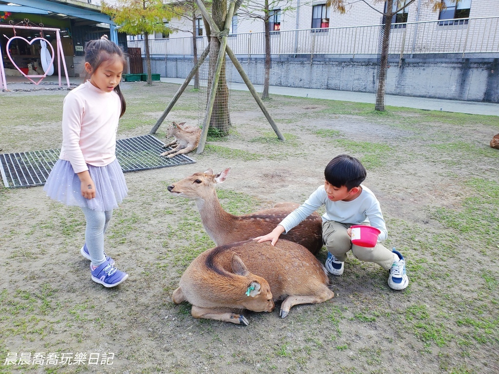 宜蘭農場推薦【心花鹿Fun】宜蘭親子景點宜蘭冬山景點