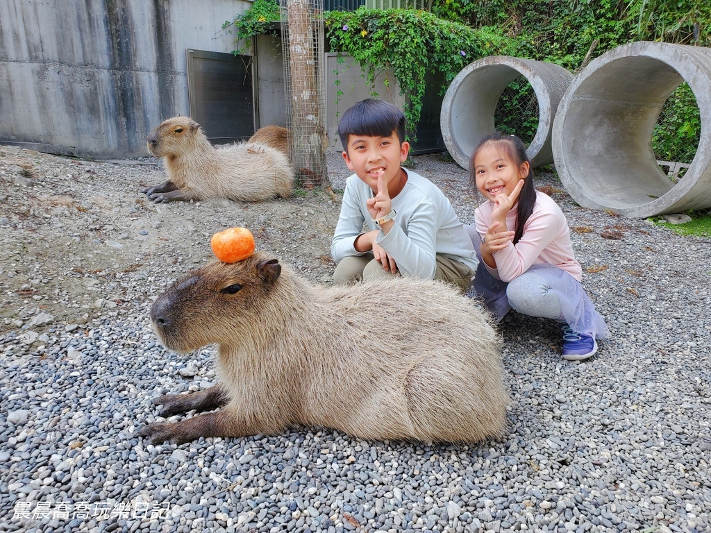 宜蘭農場推薦【心花鹿Fun】宜蘭親子景點宜蘭冬山景點