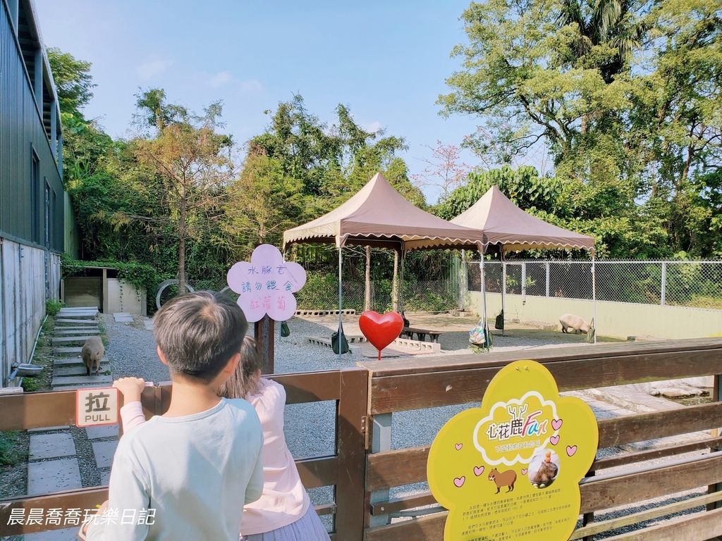 宜蘭農場推薦【心花鹿Fun】宜蘭親子景點宜蘭冬山景點