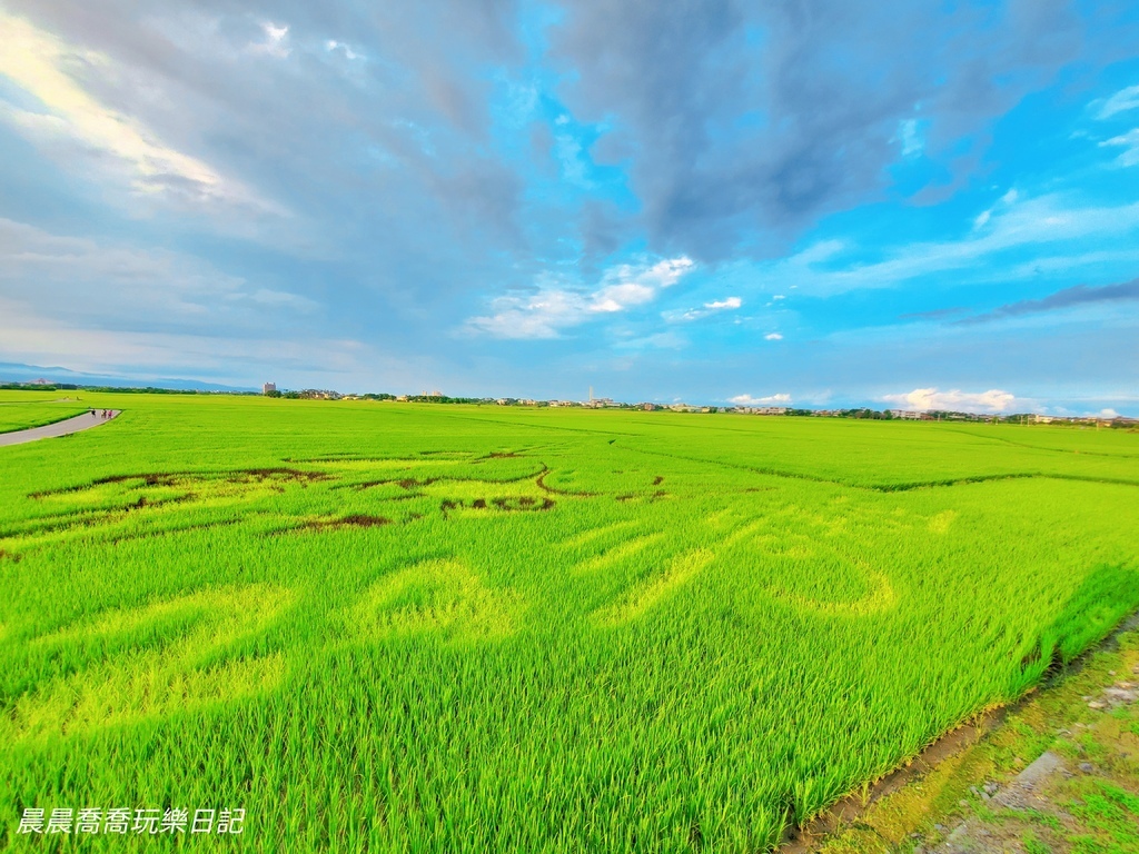 宜蘭版伯朗大道∣冬山三奇美徑！2024熱氣球嘉年華，超萌蛙蛙