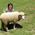 綿羊只喜歡跟媽媽拍(因為媽媽屬羊...)