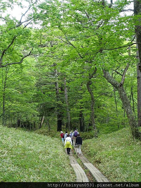森呼吸 戰場之原散策 夏の日光小旅行 別出馨裁 痞客邦