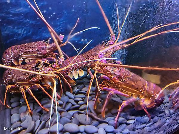 【純分享轉載】【食記】高雄覓奇頂級日本料理 泉菁饌&覓奇菁饌