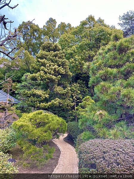 🌸大和散策Day 2-搭路電賞味 上高樓培養勇氣