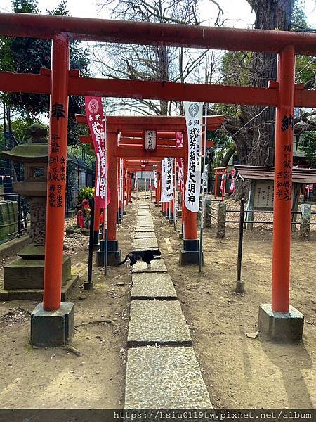 🌸大和散策Day 2-搭路電賞味 上高樓培養勇氣