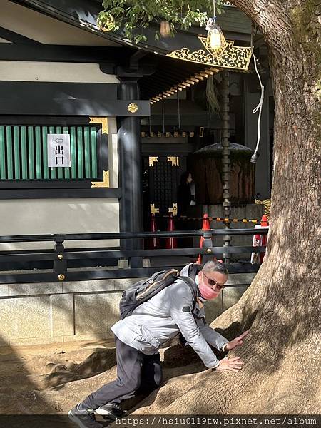 🌸大和散策Day 2-搭路電賞味 上高樓培養勇氣