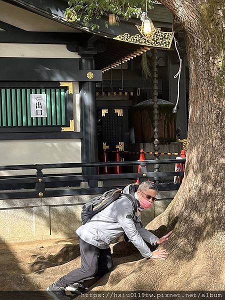 🌸大和散策Day 2-搭路電賞味 上高樓培養勇氣