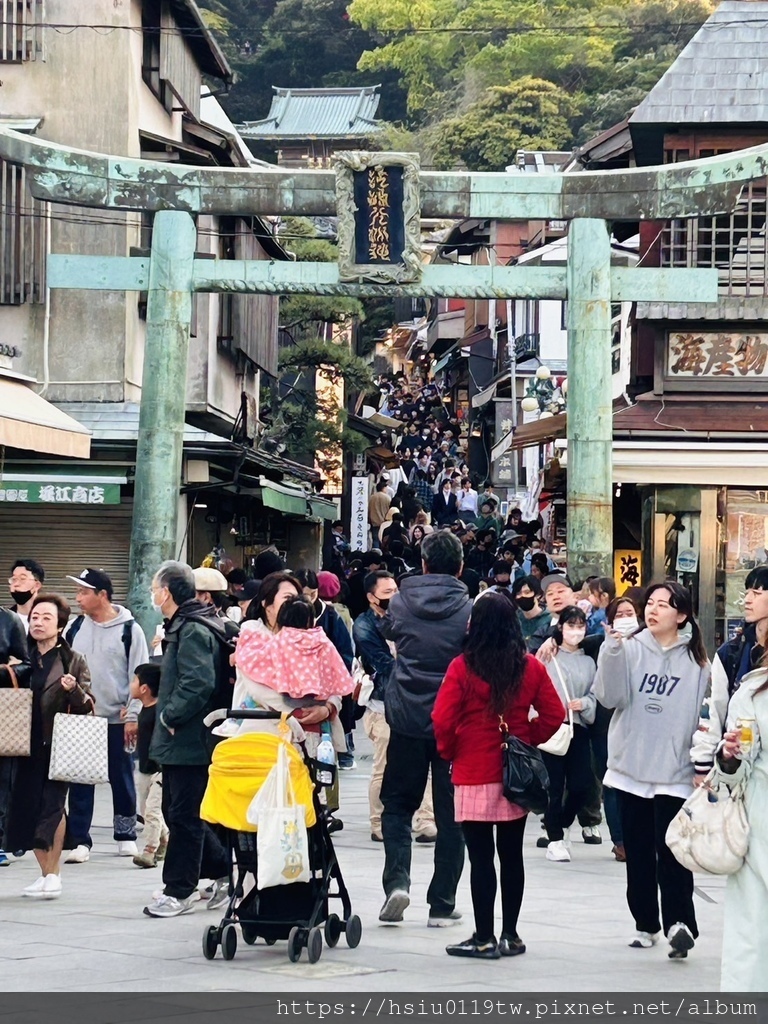 🌸櫻櫻美代誌Day 2-堅持就會看見希望