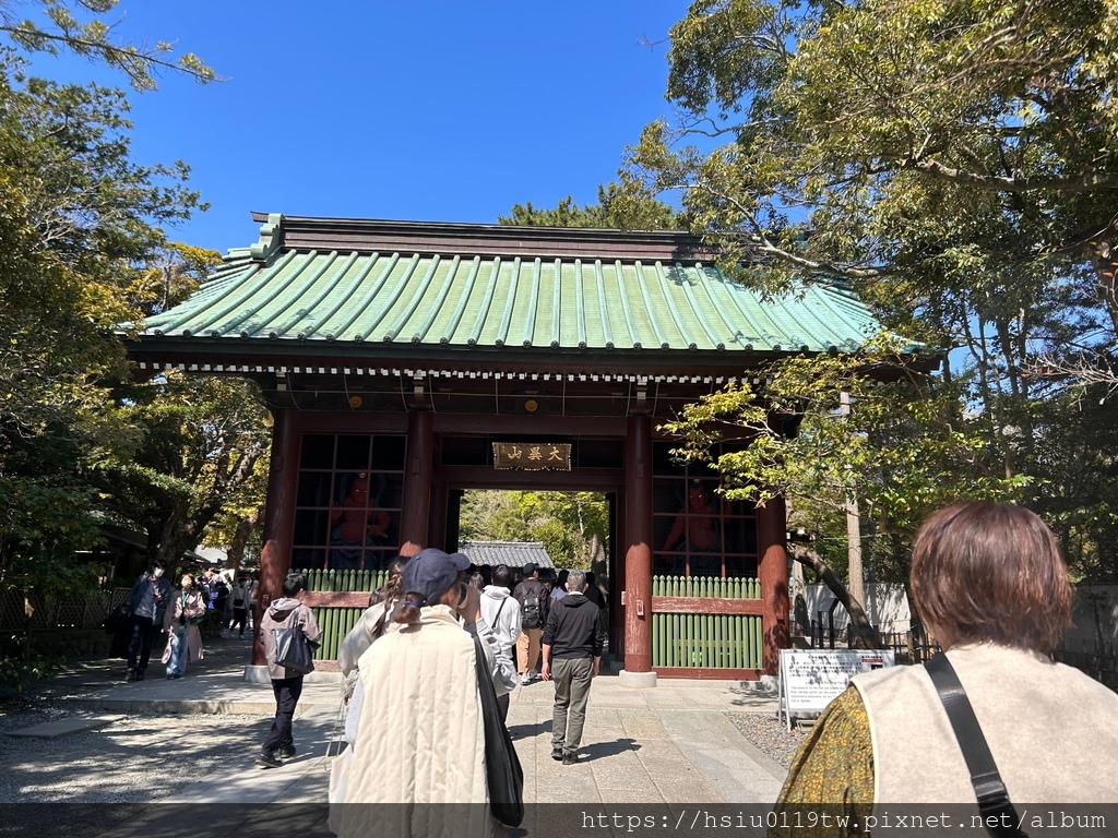 🌸櫻櫻美代誌Day 2-堅持就會看見希望