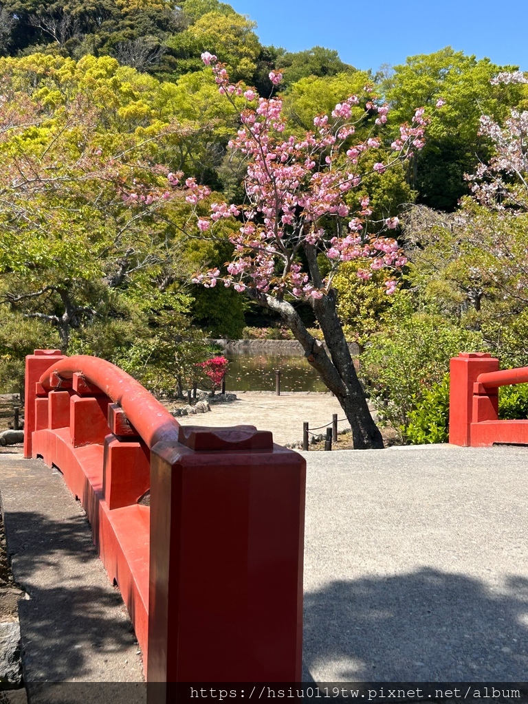 🌸櫻櫻美代誌Day 2-堅持就會看見希望