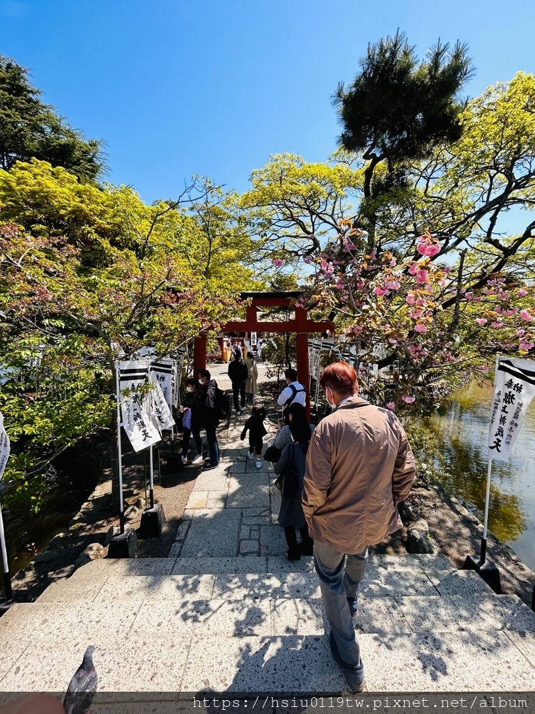 🌸櫻櫻美代誌Day 2-堅持就會看見希望