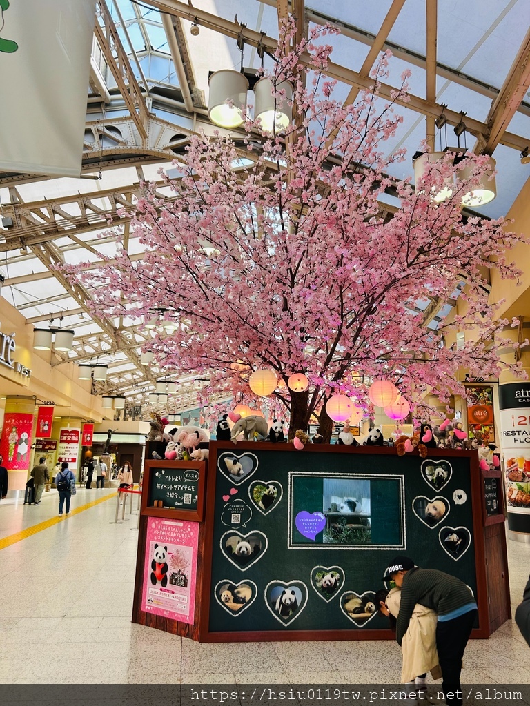 🌸櫻櫻美代誌Day 2-堅持就會看見希望