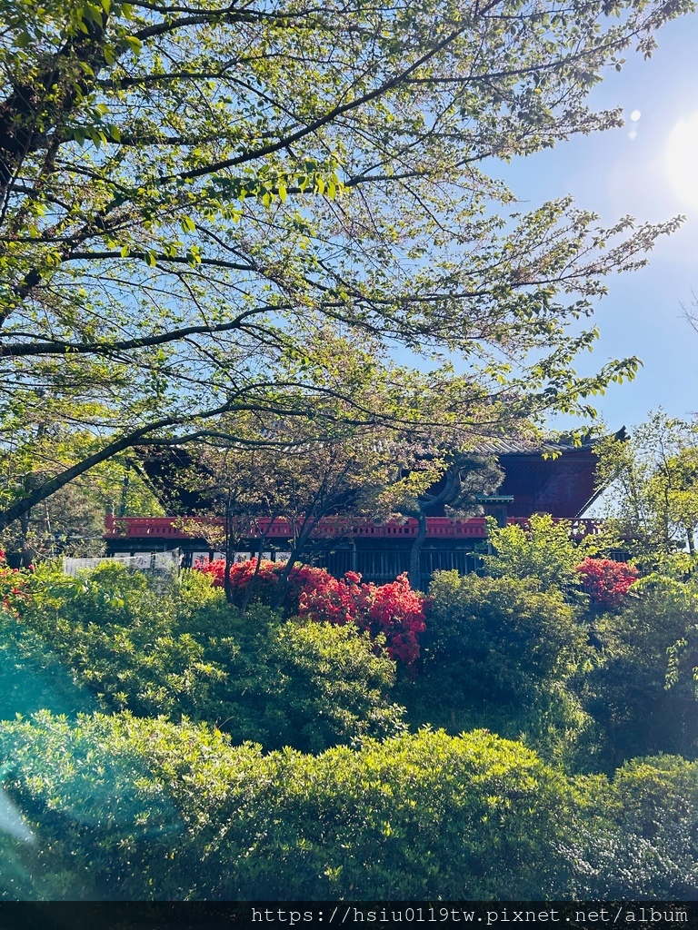 🌸櫻櫻美代誌Day 2-堅持就會看見希望