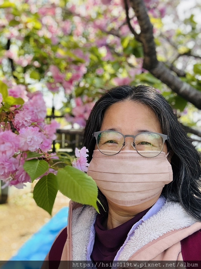 🌸櫻櫻美代誌Day 2-堅持就會看見希望