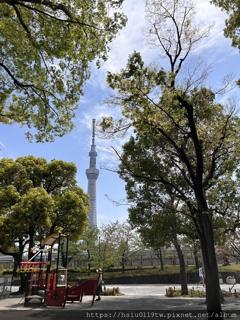 🌸櫻櫻美代誌Day5-撒悠娜啦下次擱再來