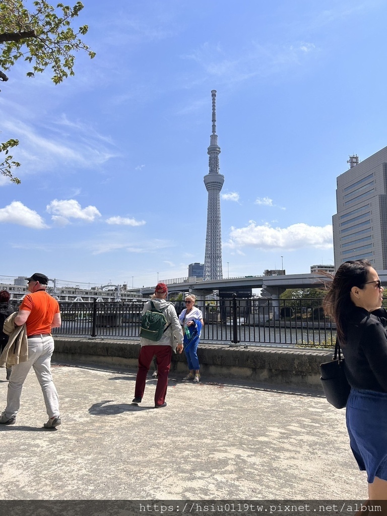 🌸櫻櫻美代誌Day5-撒悠娜啦下次擱再來