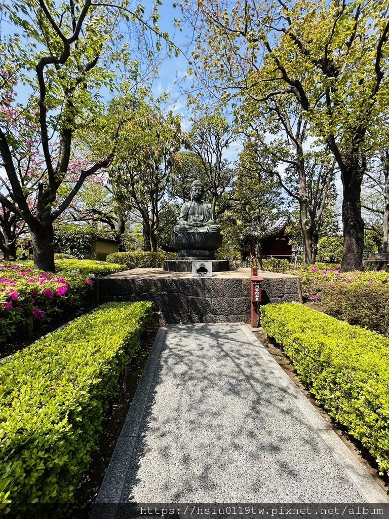 🌸櫻櫻美代誌Day5-撒悠娜啦下次擱再來