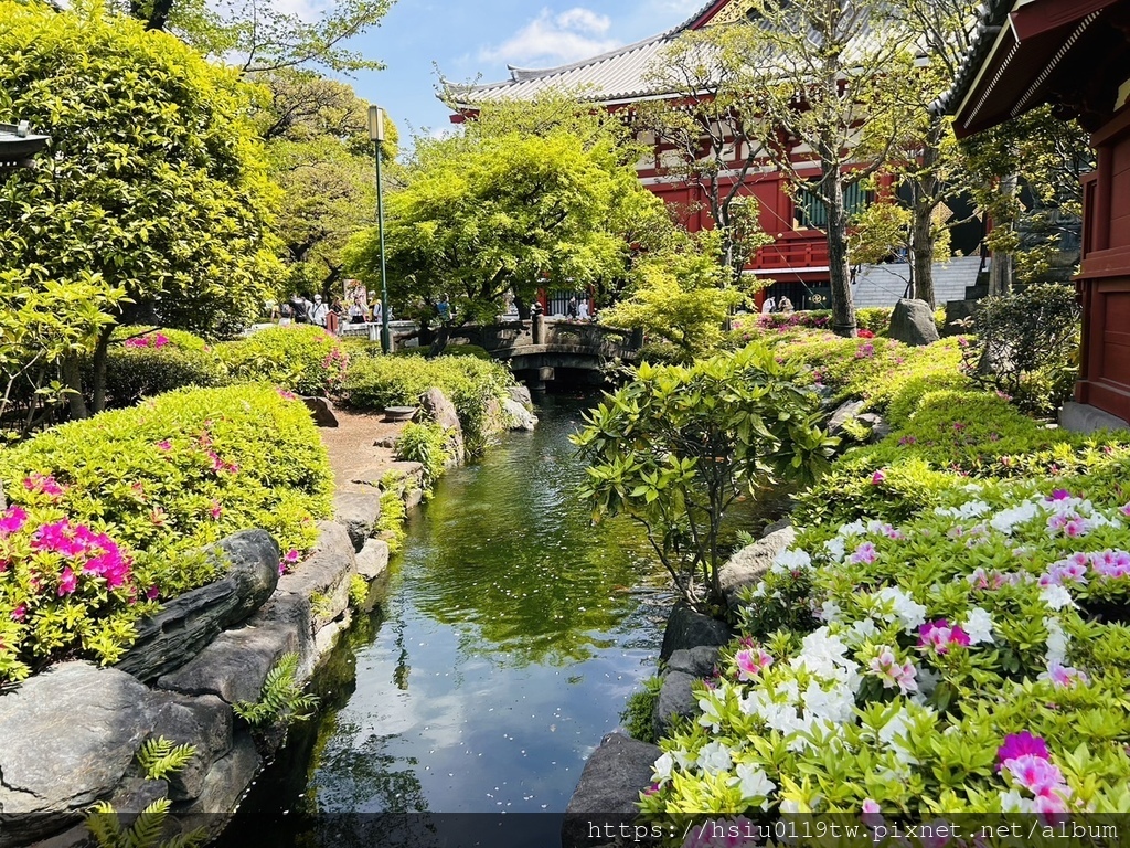 🌸櫻櫻美代誌Day5-撒悠娜啦下次擱再來