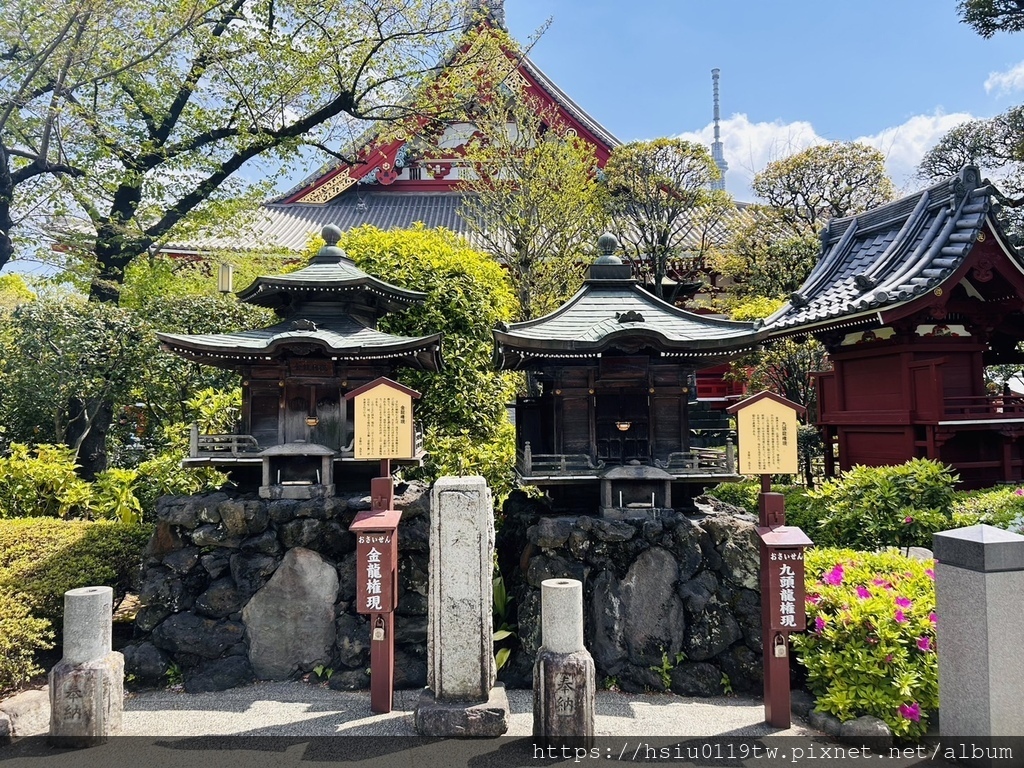 🌸櫻櫻美代誌Day5-撒悠娜啦下次擱再來