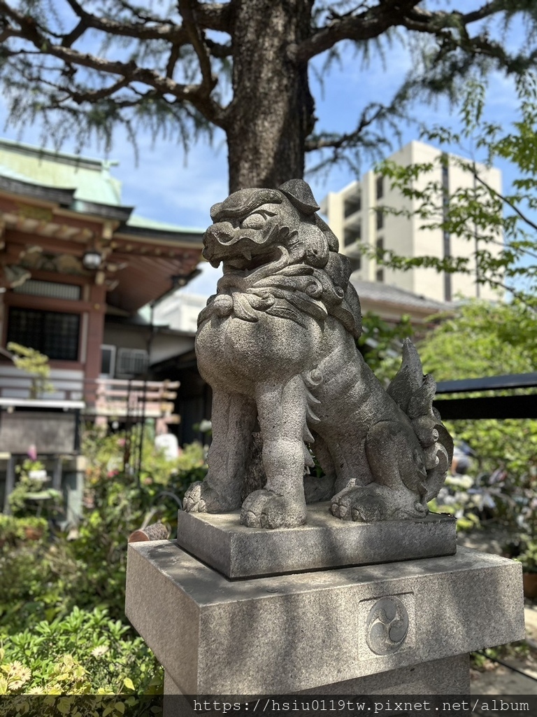 🌸櫻櫻美代誌Day5-撒悠娜啦下次擱再來