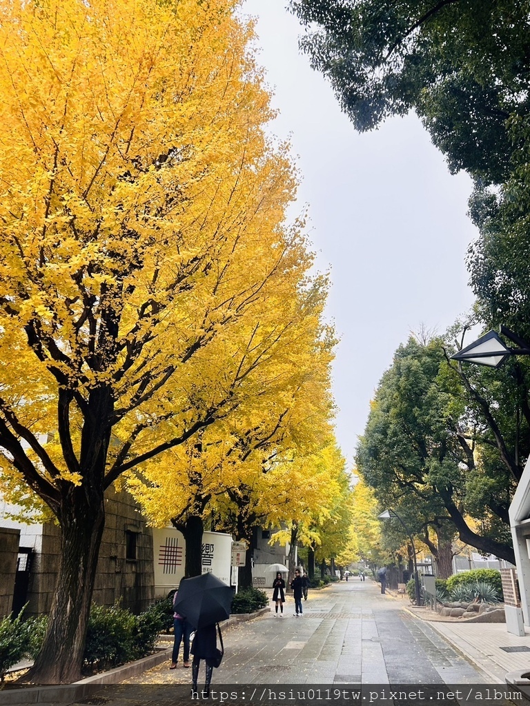 「杏」福時光Day2原來幸福這麼簡單