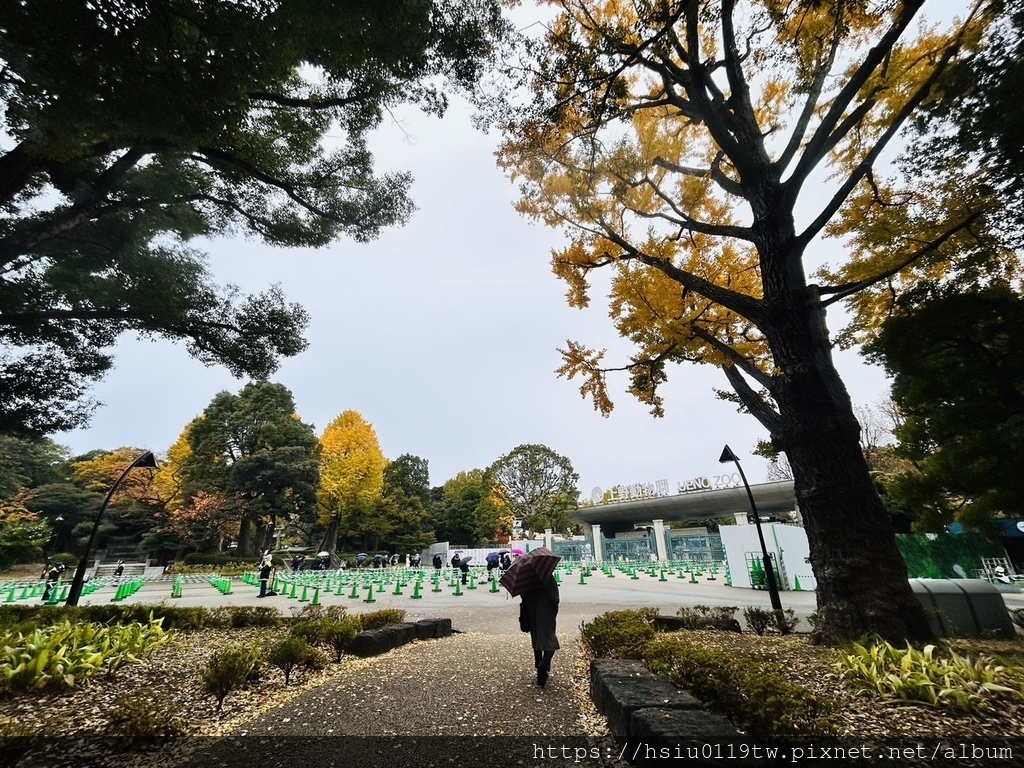 「杏」福時光Day2原來幸福這麼簡單