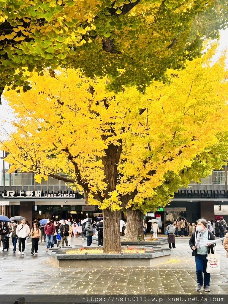 「杏」福時光Day2原來幸福這麼簡單