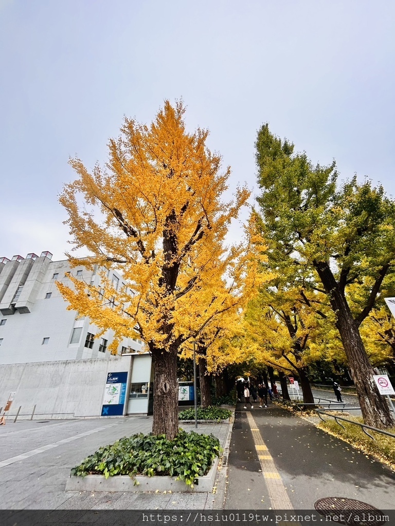 「杏」福時光Day2原來幸福這麼簡單