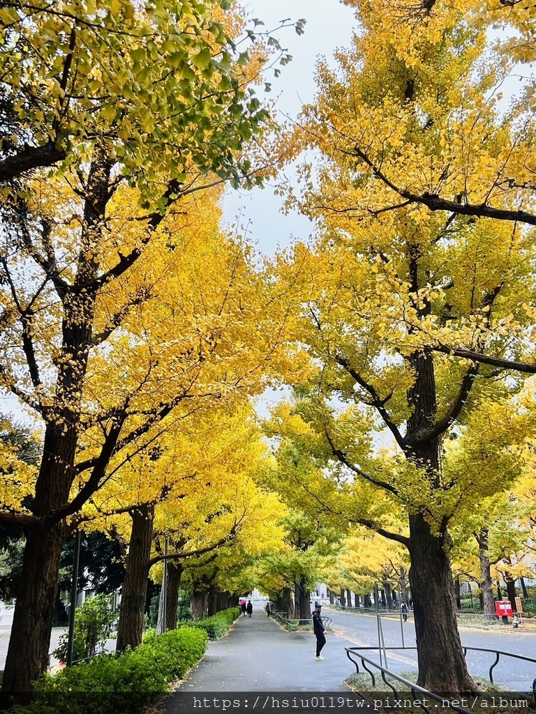 「杏」福時光Day2原來幸福這麼簡單