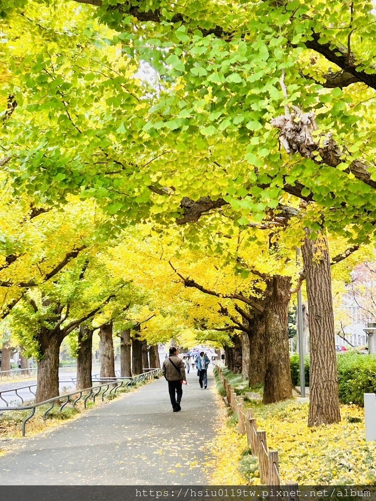 「杏」福時光Day2原來幸福這麼簡單