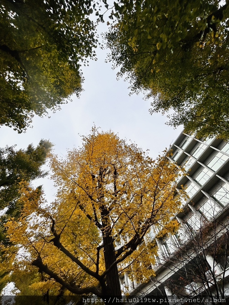 「杏」福時光Day2原來幸福這麼簡單