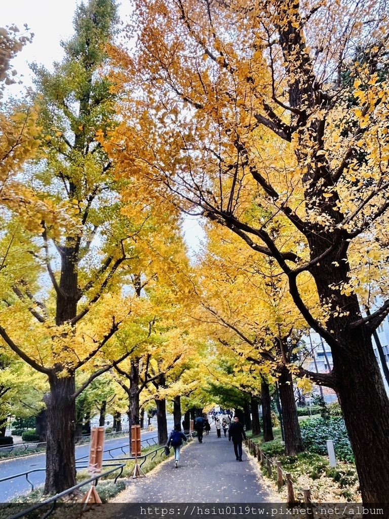 「杏」福時光Day2原來幸福這麼簡單