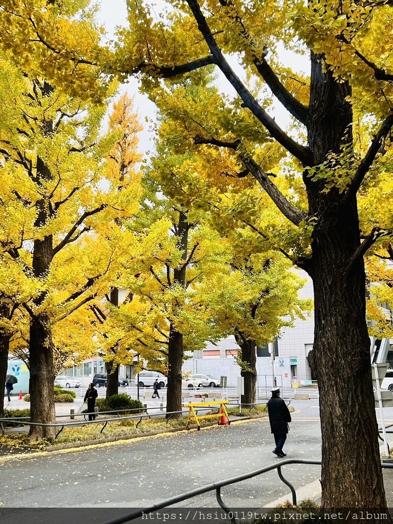 「杏」福時光Day2原來幸福這麼簡單