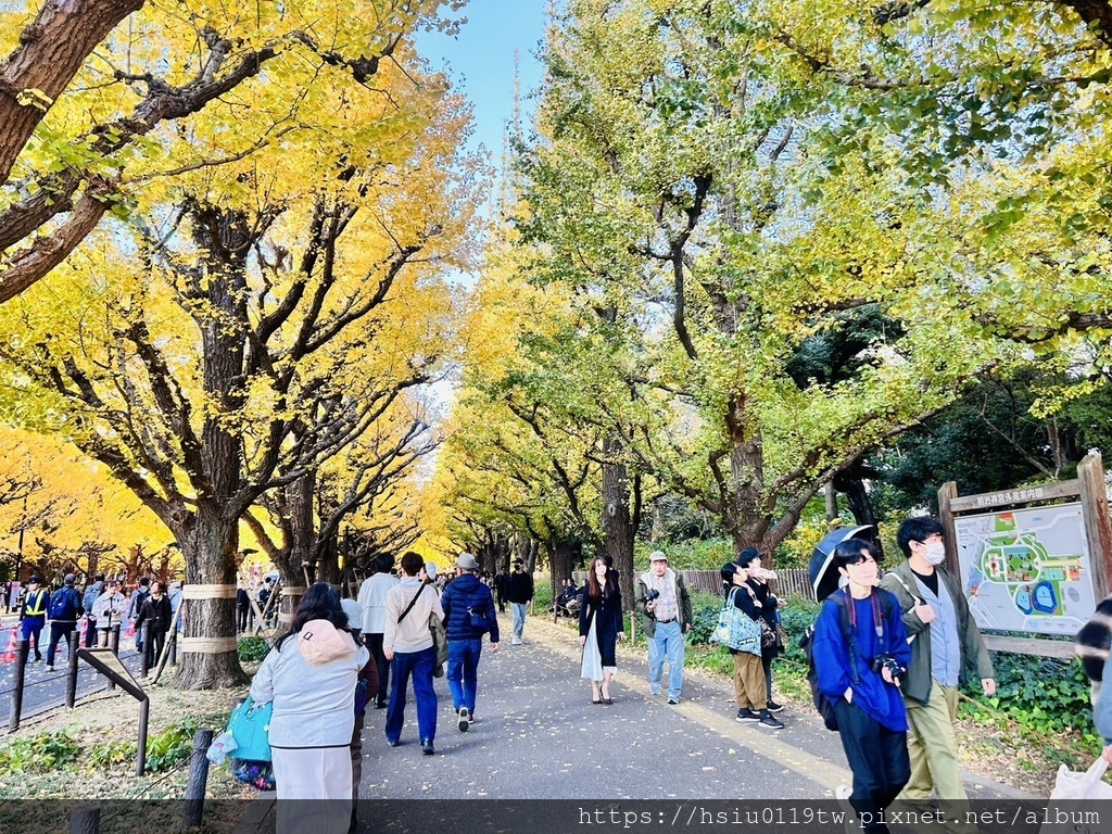 「杏」福時光Day4-各在其位，各展所能